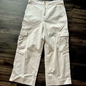 Everlane Wide Leg Cargo Pant